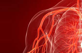 Patricia Harouche Monteiro - Foto 1