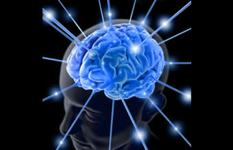 Zulima Paiva Silva Marques - Foto 1