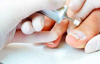 Beleza Singular - Foto 1