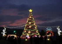 Natal Brasilidade 2025