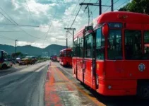 ônibus Vermelhinhos