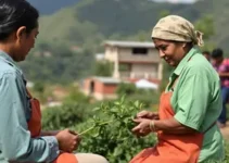 cursos de capacitação Maricá