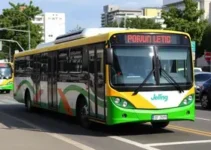 transporte público gratuito