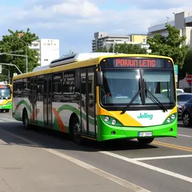 transporte público gratuito