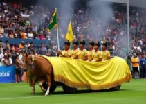 Resultado Série Ouro