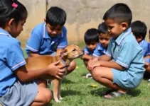 Educação e Consciência Animal
