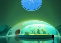 Aquário projetado por Oscar Niemeyer