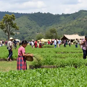 agricultura familiar