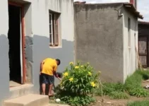 Emboço Social