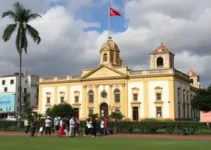 Conselhos Municipais de Direitos