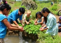 educação ambiental