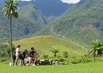 turismo inclusivo