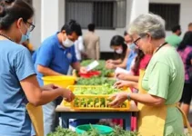 ação social Maricá