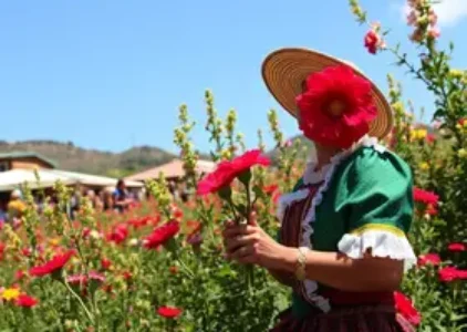 Últimas noticias de Maricá