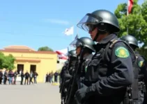 Dia do Guarda Civil