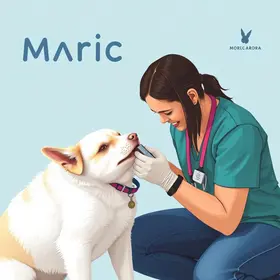 mutirões gratuitos de cadastro e microchipagem de pets