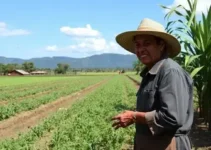 Maricá movimenta R$ 60 milhões na economia com a 1ª Expo Rural
