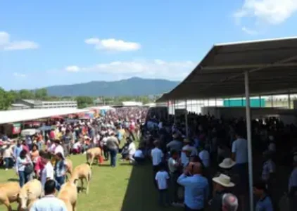 Últimas noticias de Maricá