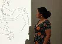 projeto Elas na Cultura
