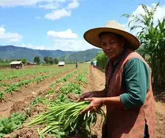Feira da Agricultura Familiar em Maricá